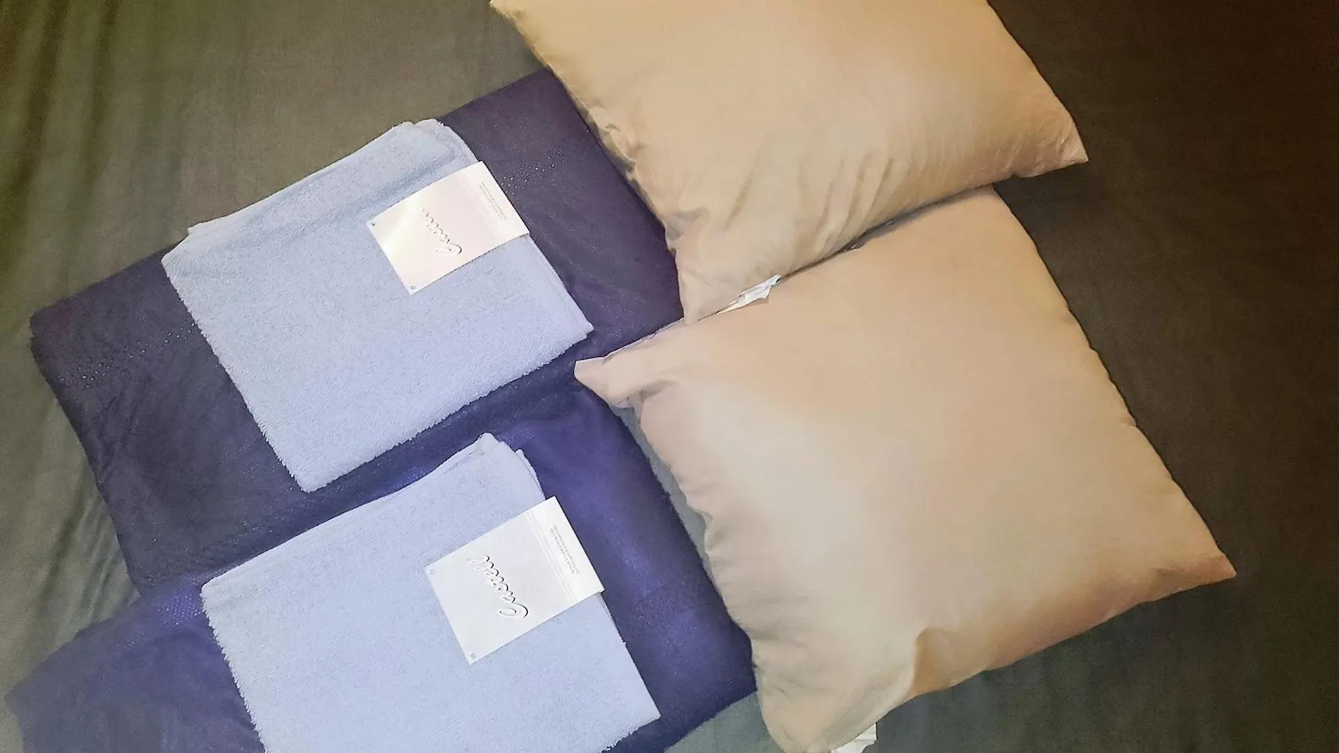 Budget Apt Dresden Trainstation Hotel Germany